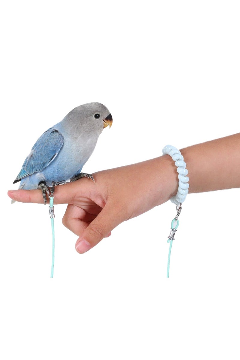Unewshi Bird Training Leash, Adjustable Parrot Flying Strap Rope Universal Flying Traction Lead Durable Outing Gadget Outdoor Training Toy for Birds, Parrot, Cockatiel, Parakeet, Lory, 3m elastic flying rope No. 6 foot ring - Image 4