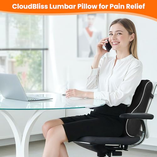 CloudBliss Ergonomic Lumbar Support Pillow Memory Foam for Lower Back Pain Relief Adjustable Straps Mesh Cover for Office Gaming Car Seat Home Essentials Black - Image 3