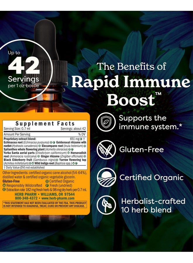 Herb Pharm Organic Rapid Immune Boost: Fast-Absorbing Tincture for Adults, Echinacea Tincture with Goldenseal, Ginger Extract & Elderberry, Immune Support Supplement & Wellness Aid, 1 Oz - Image 1