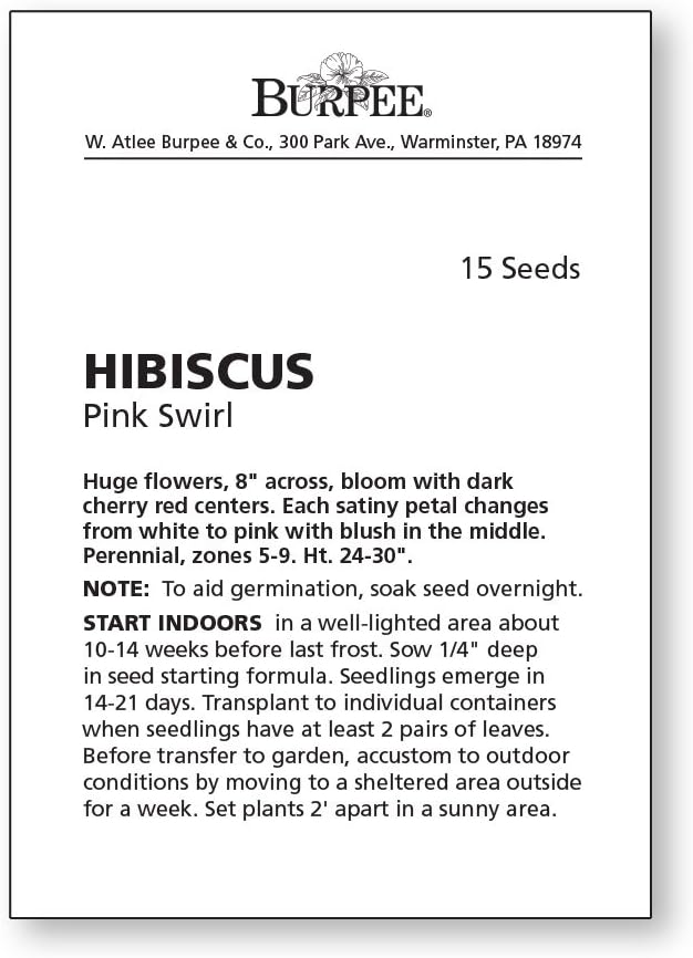 Burpee Pink Swirl Hibiscus Seeds 15 seeds - Image 4