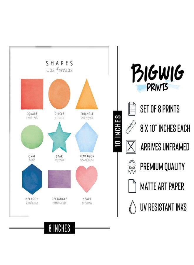 BigWig Prints Bilingual Educational Posters - Spanish and English Learning Posters for Toddlers, Preschool Classroom Decorations, Kids Educational Wall Art - Unframed Set of 8 (8x10) - Image 2