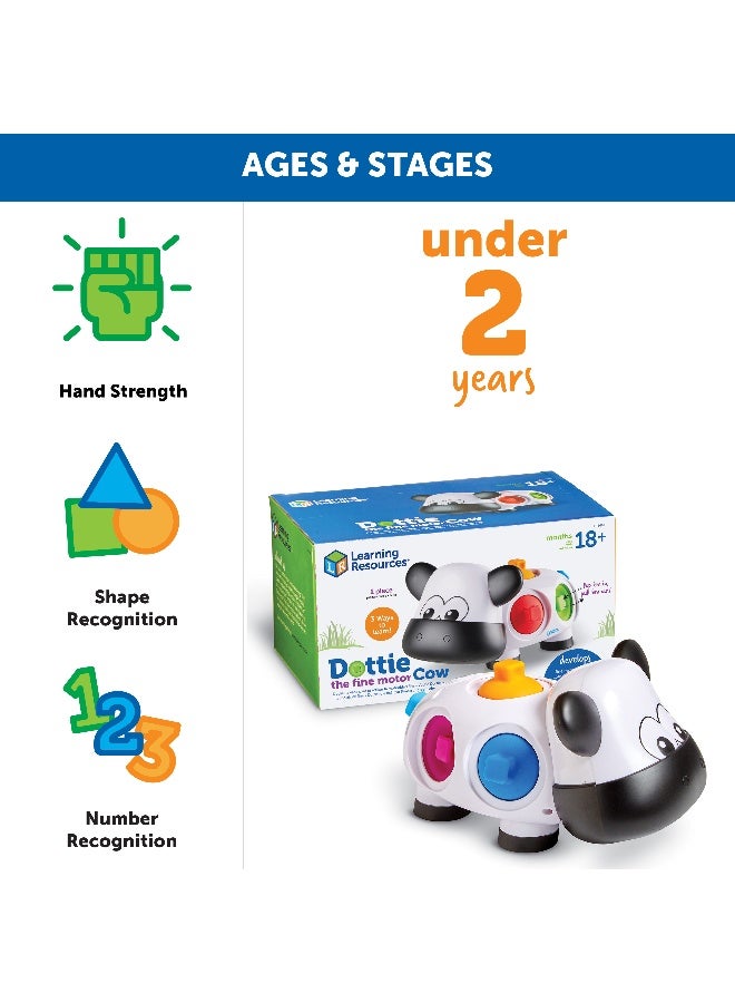 ليرننج ريسورسز موارد التعلم دوتي البقرة ذات المهارات الحركية الدقيقة، لعبة تنمية المهارات الحركية الدقيقة للأطفال الصغار مع نقاط حسية قابلة للتركيب، والتعرف على الألوان، ولعبة فيدجيت للأعمار من 18 شهرًا فما فوق - Image 5