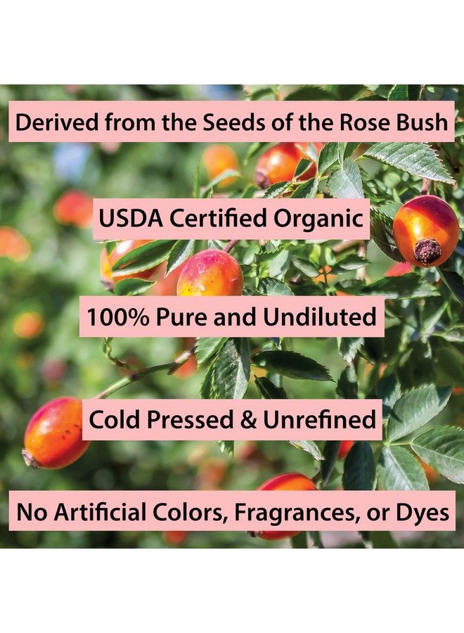 Amara زيت ثمر الورد للوجه زيت عطري غير مكرر ومعصور على البارد من البذور مغذي للبشرة والشعر معتمد من وزارة الزراعة الأمريكية عضويًا ونقي بنسبة 100% 1 أونصة - Image 3