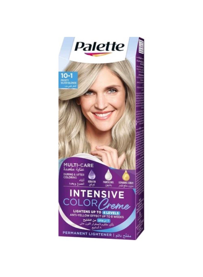 PALETTE 10-1 FROSTY SILVER BLONDE