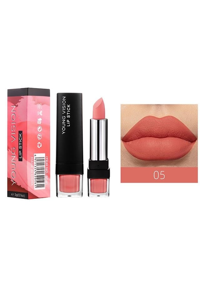 YOUNG VISION - Matte Liquid Lipstick Makeup Long Lasting Wear Not Fade Waterproof Lip Gloss 05 - Image 1