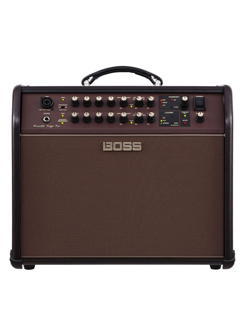 BOSS ACS Pro 120W Combo Amplifier for Acoustic Guitar and Vocals - Image 1