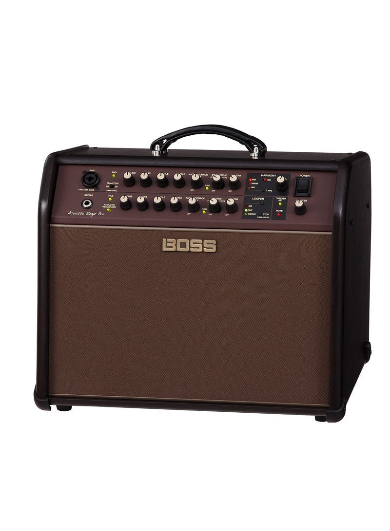 BOSS ACS Pro 120W Combo Amplifier for Acoustic Guitar and Vocals - Image 2