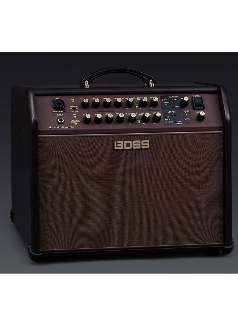 BOSS ACS Pro 120W Combo Amplifier for Acoustic Guitar and Vocals - Image 4