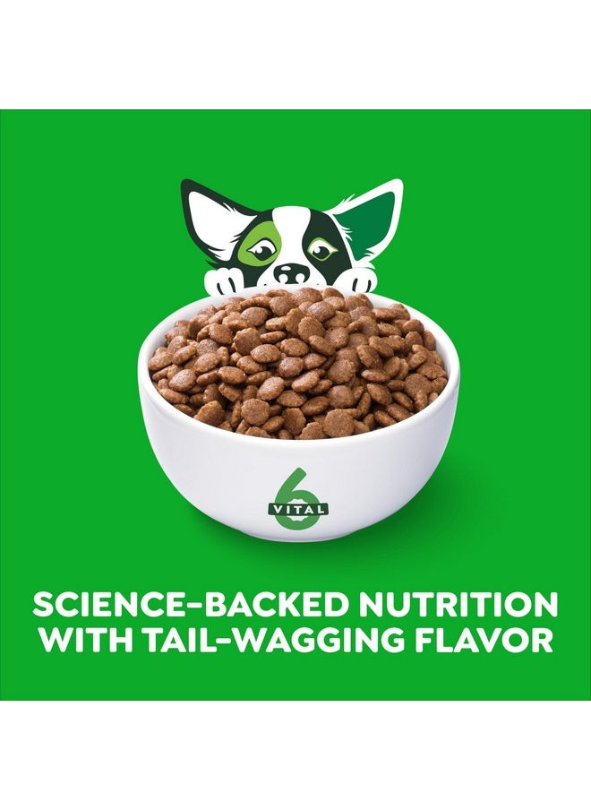 Greenies Greenies Smart Essentials Small Breed Adult High Protein Dry Dog Food Real Chicken & Rice Recipe, 5.5 lb. Bag  - Image 2
