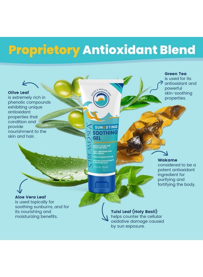 STREAM 2 SEA Stream2Sea Sun & Sting Aloe Soothing Gel For Face & Body, Organic Aloe Vera Gel For Sunburn Relief, Travel Size Aloe Vera Gel For Skin, Natural After Sun Care, Pure Aloe After Sun Gel, 2.5 Fl Oz - Image 2