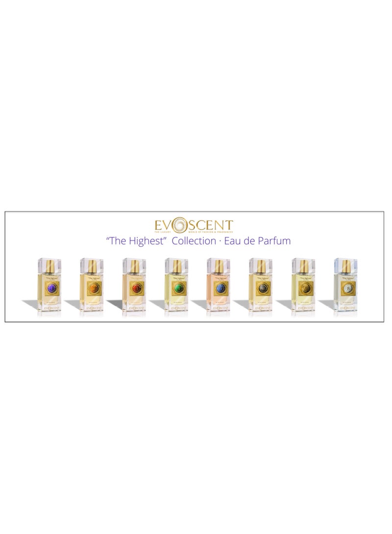 EVOSCENT EVORICH - Evoke Luxury with Evorich Eau de Parfum by Ramon Bejar | Unisex Scent - Image 3