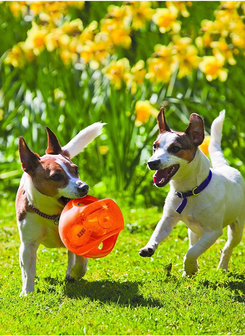 (Medium/Large) - KONG - Jumbler - Interactive Fetch Dog Toy with Handle (Assorted Colours)…