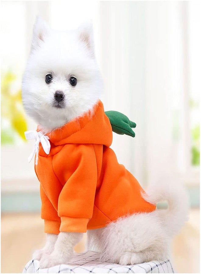 XIAOYU Carrot Pet Costume Christmas Dog Fun Fruit Hoodie Fleece Dog Sweatshirt for Halloween Cosplay Puppy Jumpsuit Cat Clothes(XL) - Image 4