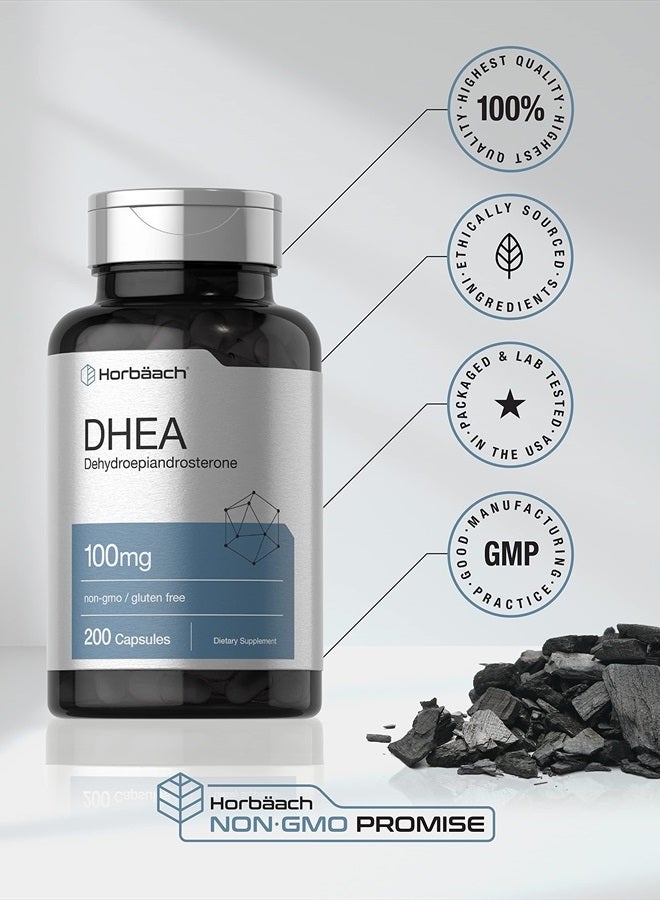 Horbaach هورباخ DHEA 100 ملغ | 200 كبسولة | مكمل خالي من الكائنات المعدلة وراثيًا وخالي من الغلوتين - Image 5