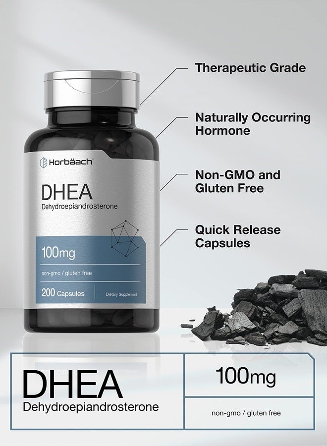 Horbaach هورباخ DHEA 100 ملغ | 200 كبسولة | مكمل خالي من الكائنات المعدلة وراثيًا وخالي من الغلوتين - Image 3