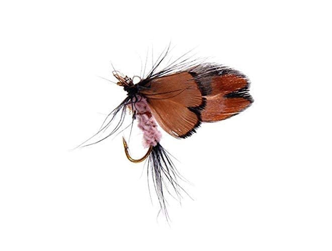 AUF 12pcs Butterfly Design Dry Fly Fishing Flies Fish Lure Hook Accessories - Image 4