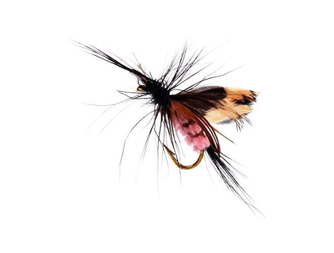 AUF 12pcs Butterfly Design Dry Fly Fishing Flies Fish Lure Hook Accessories - Image 2