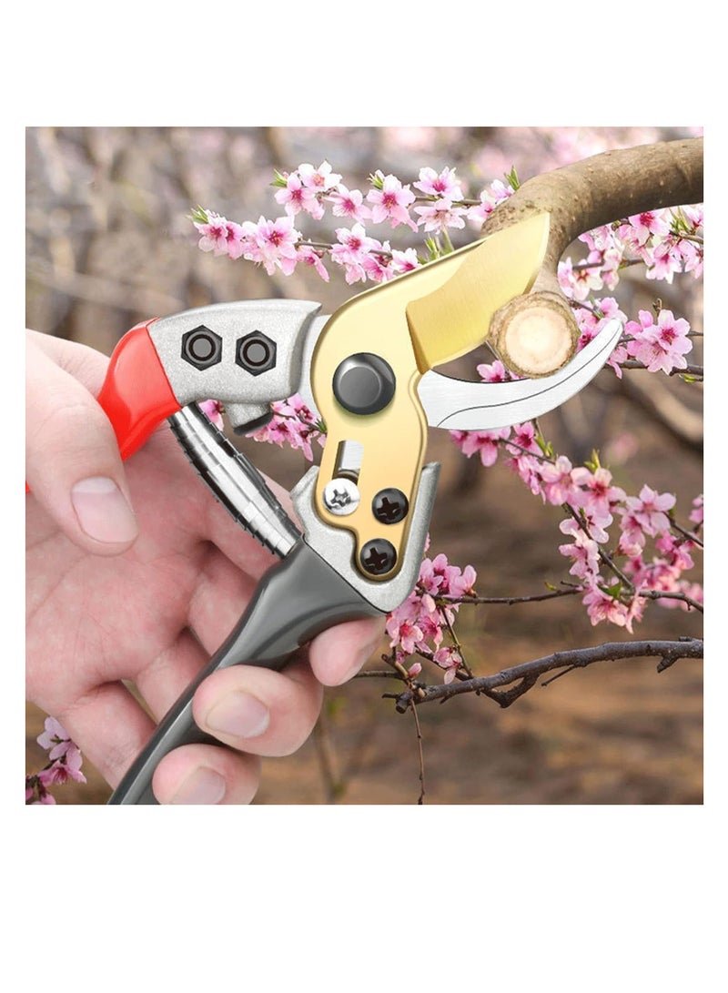 Generic Fruit Branch Scissors Ultra Sharp Rust-Resistant SK5 Steel Blade Non-Slip Handle Safety Lock Heavy Duty Pruning Shears Plant Clipper for Flowers Branches Bonsai & Shrubs  - Image 2
