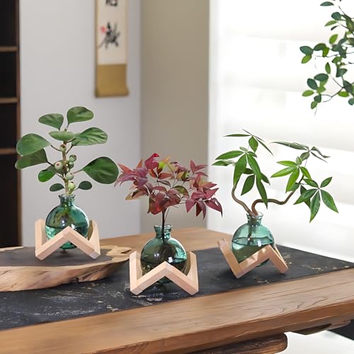 HymoConn Plant Propagation Station Propagation Vases for Plants Glass Terrariums Vases Bulb with Wooden Stand for Hydroponic Water Plants Indoor, Office Decor Desk Accessories (Green) - Image 5