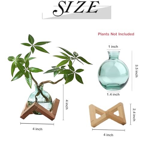 HymoConn Plant Propagation Station Propagation Vases for Plants Glass Terrariums Vases Bulb with Wooden Stand for Hydroponic Water Plants Indoor, Office Decor Desk Accessories (Green) - Image 4