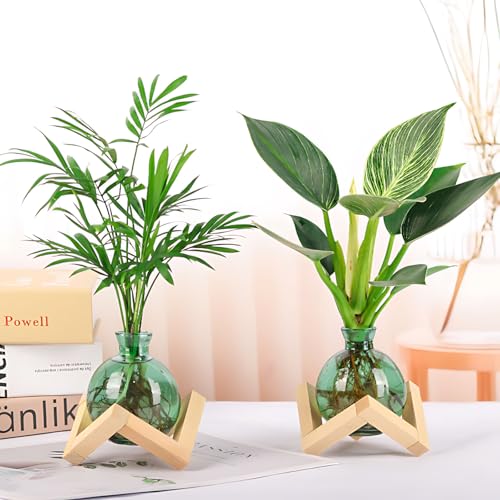 HymoConn Plant Propagation Station Propagation Vases for Plants Glass Terrariums Vases Bulb with Wooden Stand for Hydroponic Water Plants Indoor, Office Decor Desk Accessories (Green) - Image 2