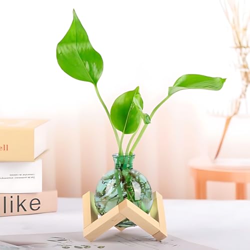 HymoConn Plant Propagation Station Propagation Vases for Plants Glass Terrariums Vases Bulb with Wooden Stand for Hydroponic Water Plants Indoor, Office Decor Desk Accessories (Green) - Image 1