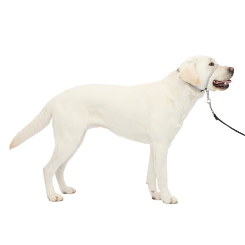 PetSafe Gentle Leader NoPull Dog Headcollar The Ultimate Solution to Pulling Redirects Your Dogs Pulling for Easier Walks Helps You Regain Control Large Silver - Image 1