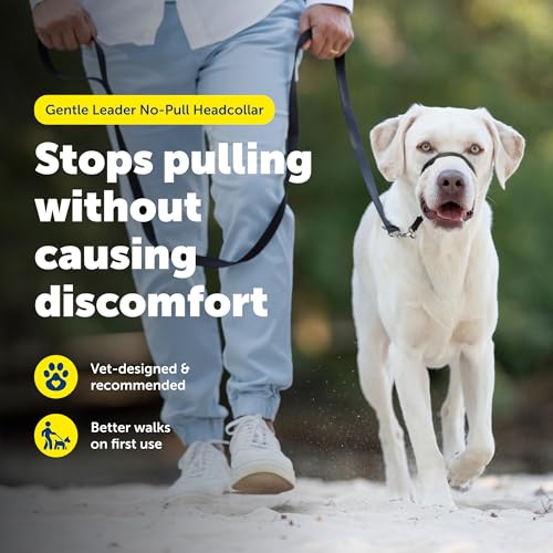 PetSafe Gentle Leader NoPull Dog Headcollar The Ultimate Solution to Pulling Redirects Your Dogs Pulling for Easier Walks Helps You Regain Control Large Silver - Image 3