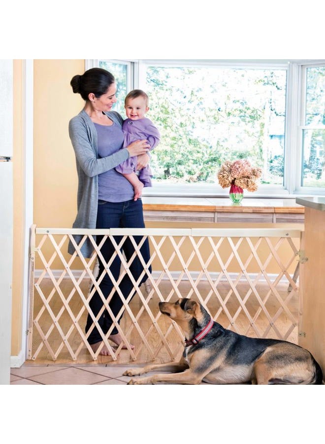 evenflo Expansion Walk Thru Room Divider Gate - Image 4