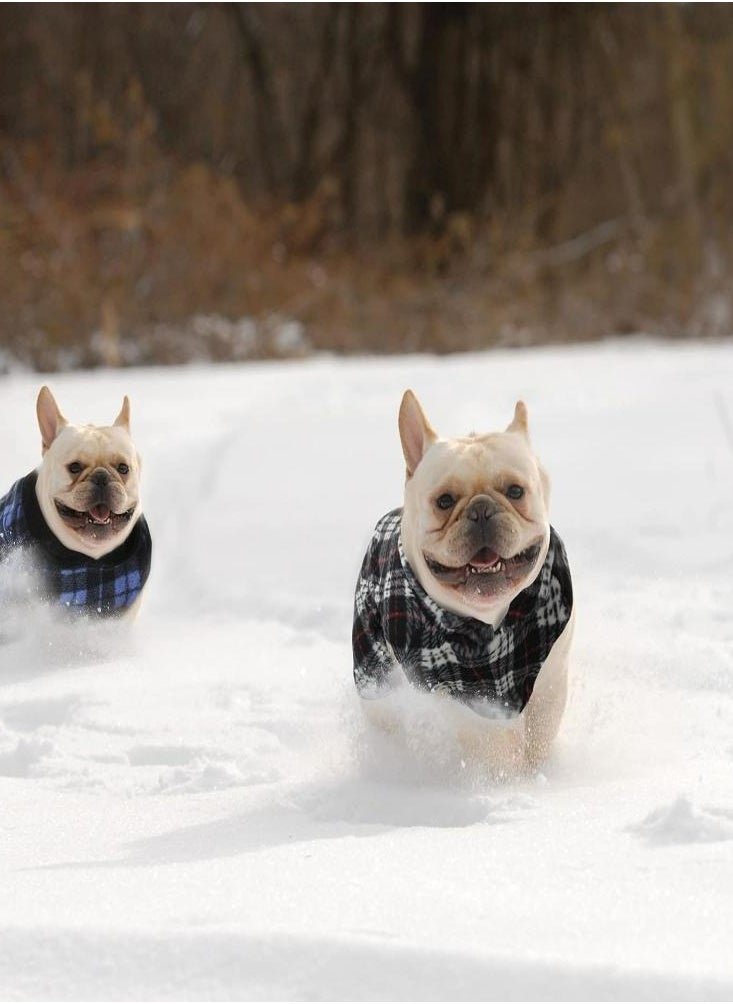 6Pcs Pet Clothes Dogs Cats Sweater Warmth Fleece Traction Buckles Puppy Clothes Pet Supplies