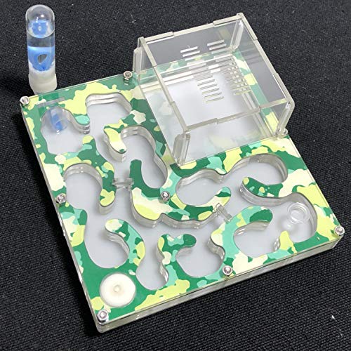 ant grape Camouflage Apiculture Colony Big formicarium Ant Nest,Ant Farm Acrylic,hormiguero Insect Ants House Ecological Workshop (Camouflage Autumn) - Image 3