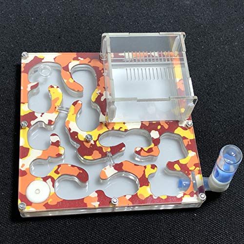 ant grape Camouflage Apiculture Colony Big formicarium Ant Nest,Ant Farm Acrylic,hormiguero Insect Ants House Ecological Workshop (Camouflage Autumn) - Image 2