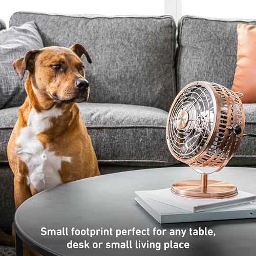 HOLMES 6" Heritage Table Fan, 2 Speeds, 4 Blades, Adjustable 145° Head Tilt, Metal Construction, Ideal for Home, Bedrooms, Dorm Rooms or Office, Brushed Copper - Image 4