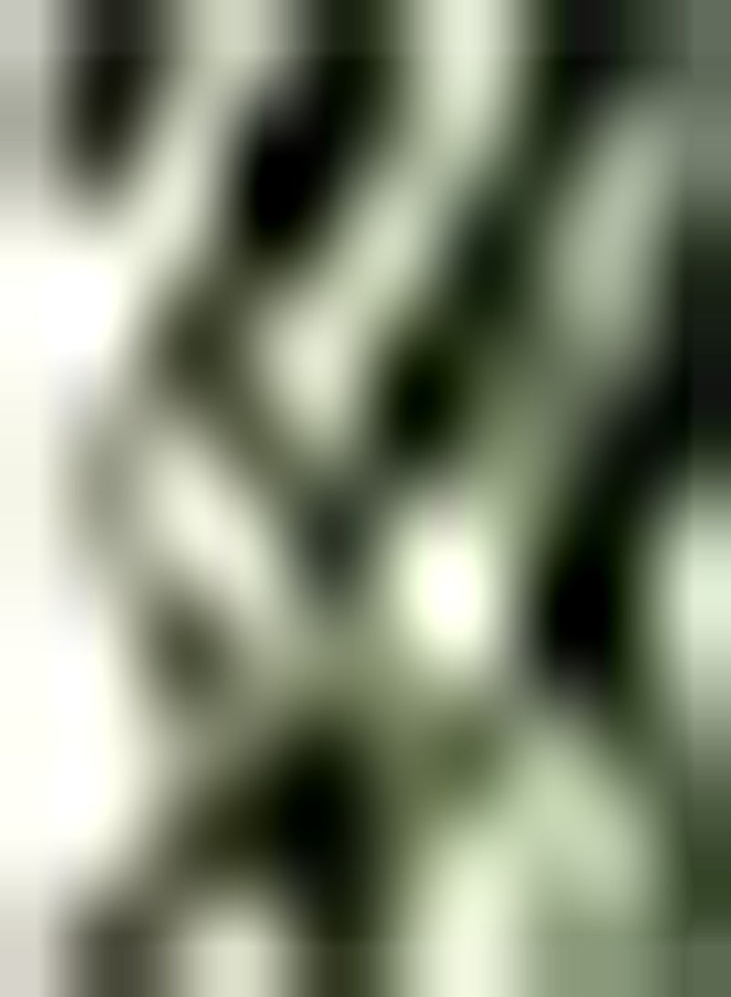 GGOOT 300pcs Peppermint Seeds Essential in The Kitchen Scent and Fragrance Heirloom Peppermint Seeds for Indoor Planting Herbal - Image 1