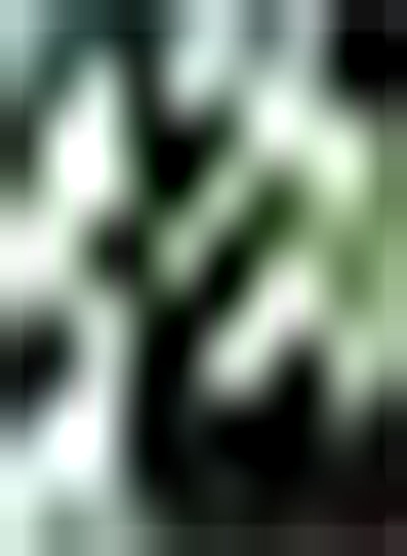 GGOOT 300pcs Peppermint Seeds Essential in The Kitchen Scent and Fragrance Heirloom Peppermint Seeds for Indoor Planting Herbal - Image 2