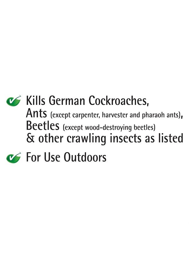 Garden Safe Insect Killer, 1-count