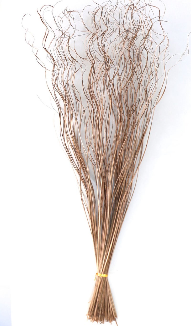 Generic Artificial Flower Warehouse Tropic Laser Bunch Grass 100 cm Natural Wavy 