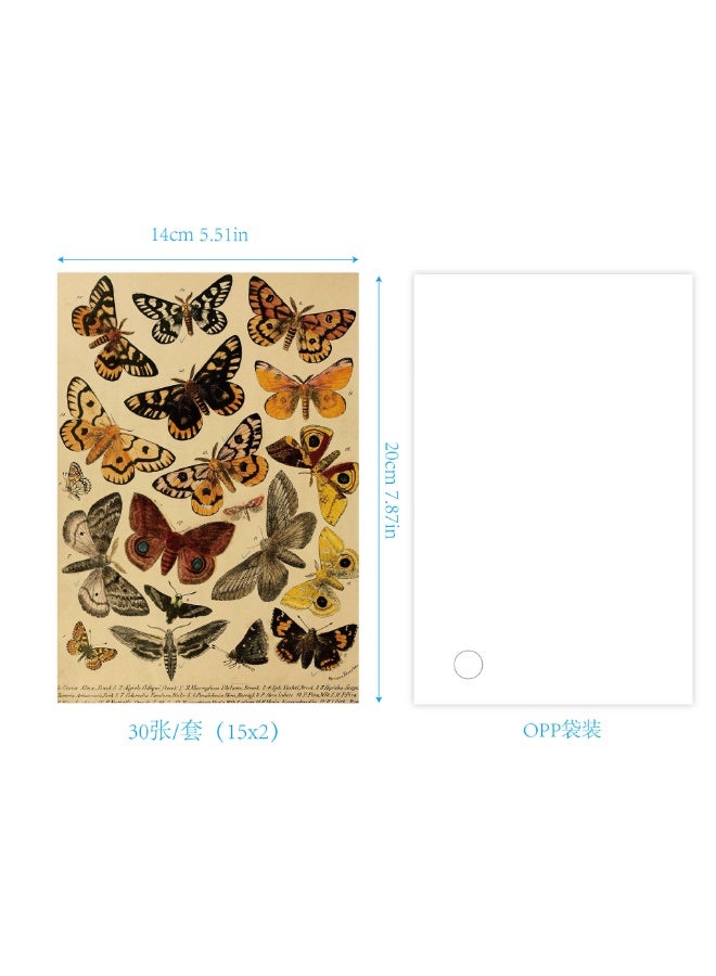 30 PCS Vintage Postcard Set, Post Cards for Mailing 4x6 Retro Style Cottagecore Botanical Ephemera Aesthetic Postcards Pack for Adults Collage Collection DIY Cardstock Paper - Image 2