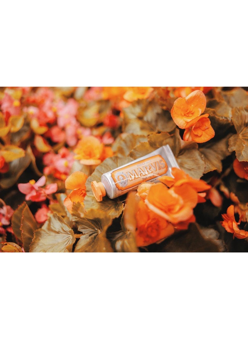 مارفيس معجون اسنان مارفيس زنجبيل نعناع 75 مل - Image 4