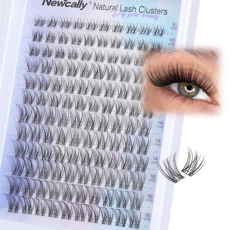 Newcally Natural Eyelash Clusters Lash Individuals DIY Lash Extension C-curly Cluster Eyelash Extensions Lash Clusters Wispy 8-16MM by Newcally - Image 1