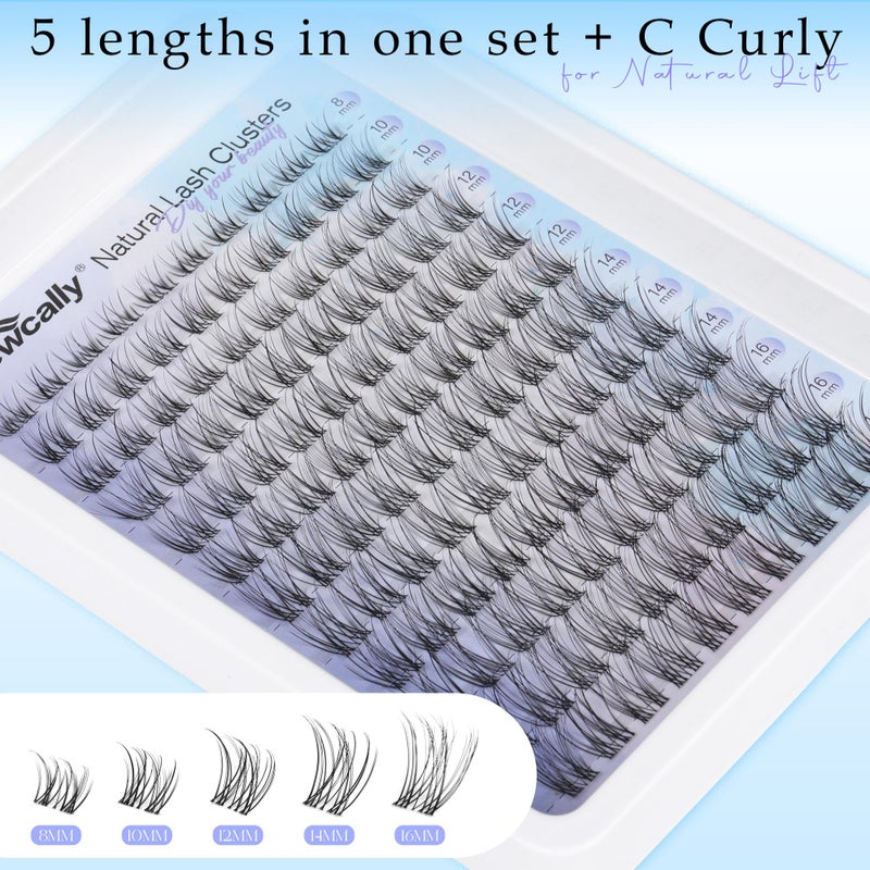 Newcally Natural Eyelash Clusters Lash Individuals DIY Lash Extension C-curly Cluster Eyelash Extensions Lash Clusters Wispy 8-16MM by Newcally - Image 5