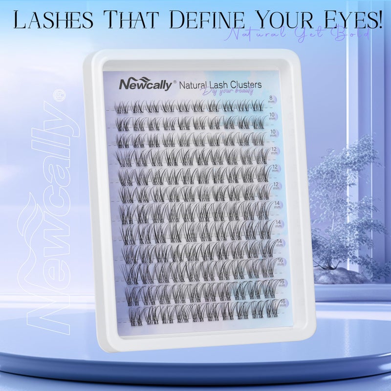 Newcally Natural Eyelash Clusters Lash Individuals DIY Lash Extension C-curly Cluster Eyelash Extensions Lash Clusters Wispy 8-16MM by Newcally - Image 2
