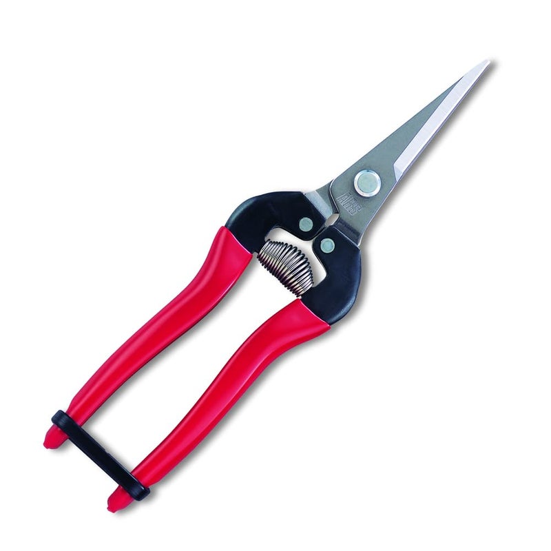 ARS HP-300LDX Stainless Steel Needle Nose Fruit Pruners - Image 4