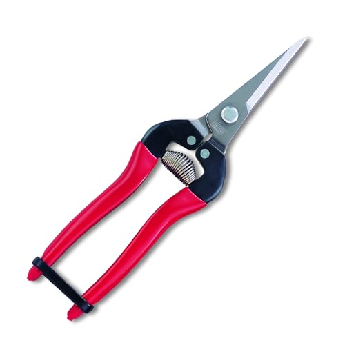 ARS HP-300LDX Stainless Steel Needle Nose Fruit Pruners - Image 1