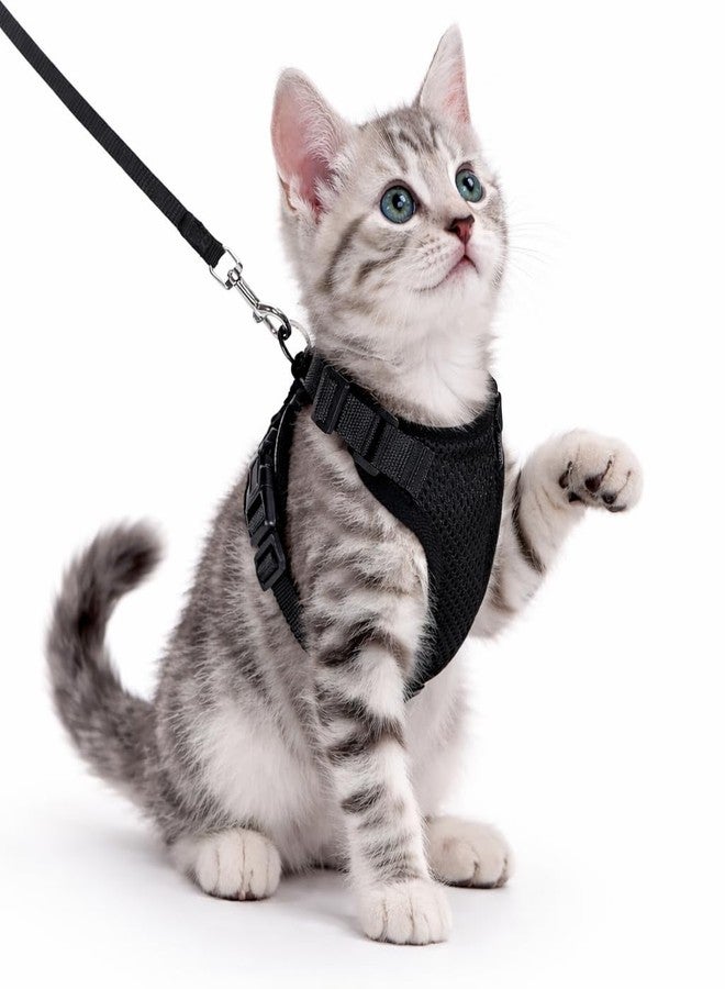 Berlin's PET ACCESSORIES Berlin's Cat Harness and Leash Set - Escape Proof, No Pull, Lightweight Breathable Air Mesh, Adjustable & Comfortable Cat Vest Harness for Small Cats, Kittens & Outdoor Walks (Black, XS) - Image 1