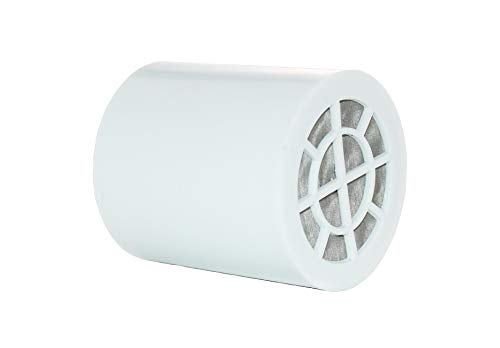 New Wave Enviro Shower Filter Replacement Cartridge with Chlorine Reduction, 1 Year Filter Life - Image 1
