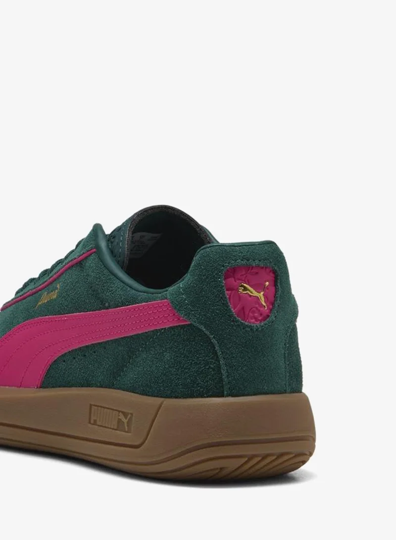 بوما كلوب كلاسيكا إس دي