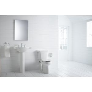 كوهلر Kohler K-37056-CP alteo حامل الأنسجة العمودي Chrome مصقول  - Image 2