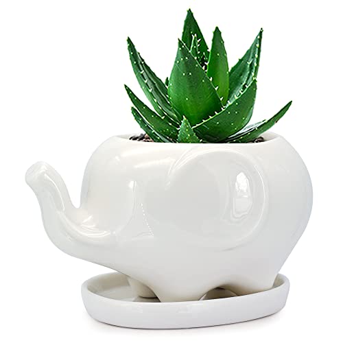 GeLive White Elephant Succulent Planter Ceramic Plant Pot Window Box with Saucer Animal Indoor Tabletop Decor Fun Gift 5 Inch (Mom Elephant) - Image 1