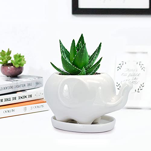 GeLive White Elephant Succulent Planter Ceramic Plant Pot Window Box with Saucer Animal Indoor Tabletop Decor Fun Gift 5 Inch (Mom Elephant) - Image 4